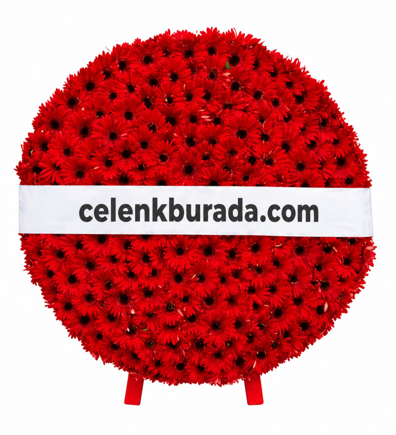 Kırmızı Gerbera Mozole Çelenk